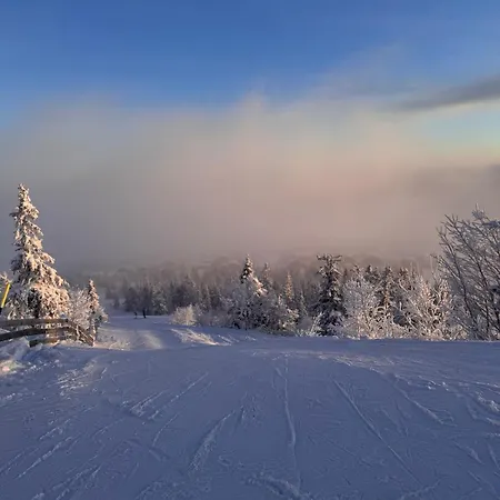 Beautiful Log Cabin In Trysilfjellet South, Ski In Ski Out Dağ evi *